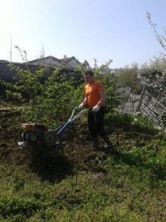 Тбилисский трудовой десант отправился в «Атамань»